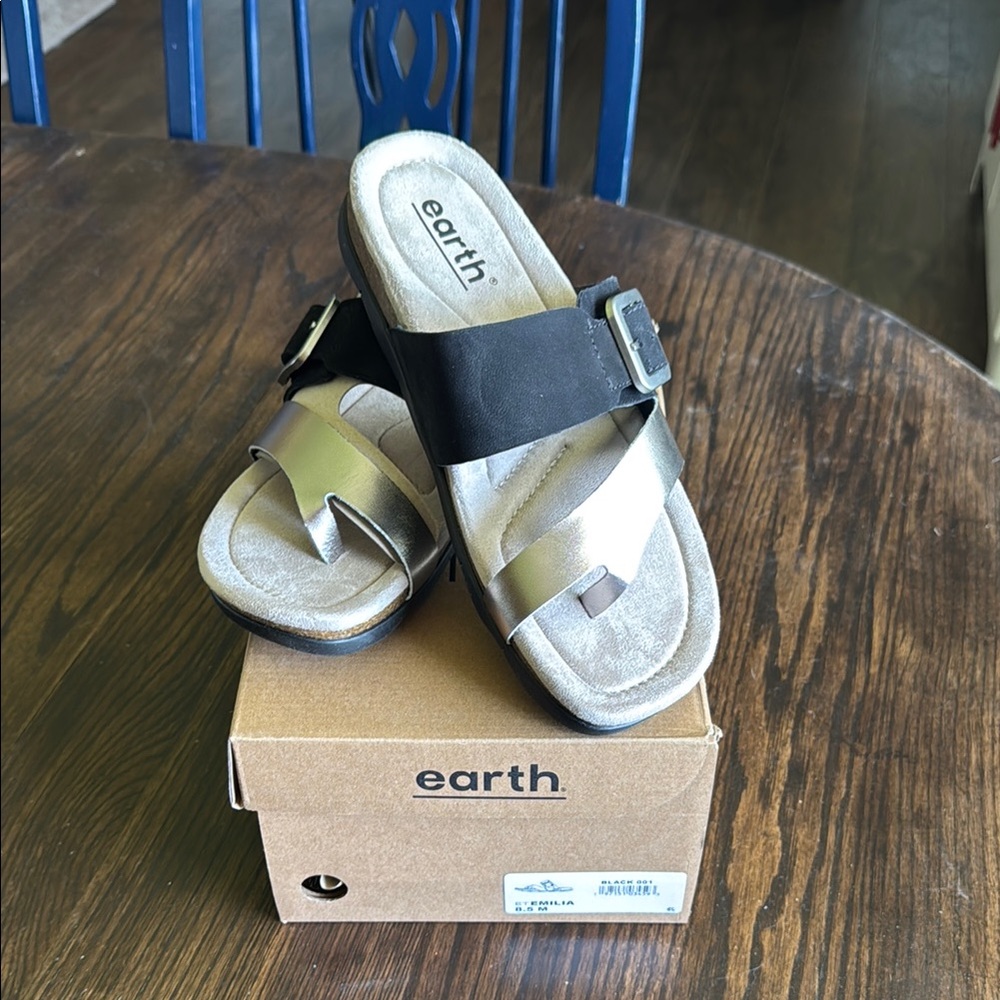Earth Silver Sandals with Black Strap